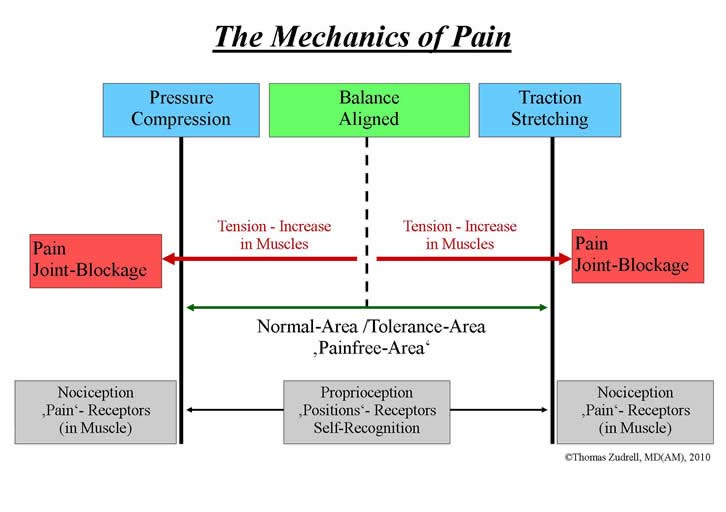mechanics of pain mechanics of pain graphic